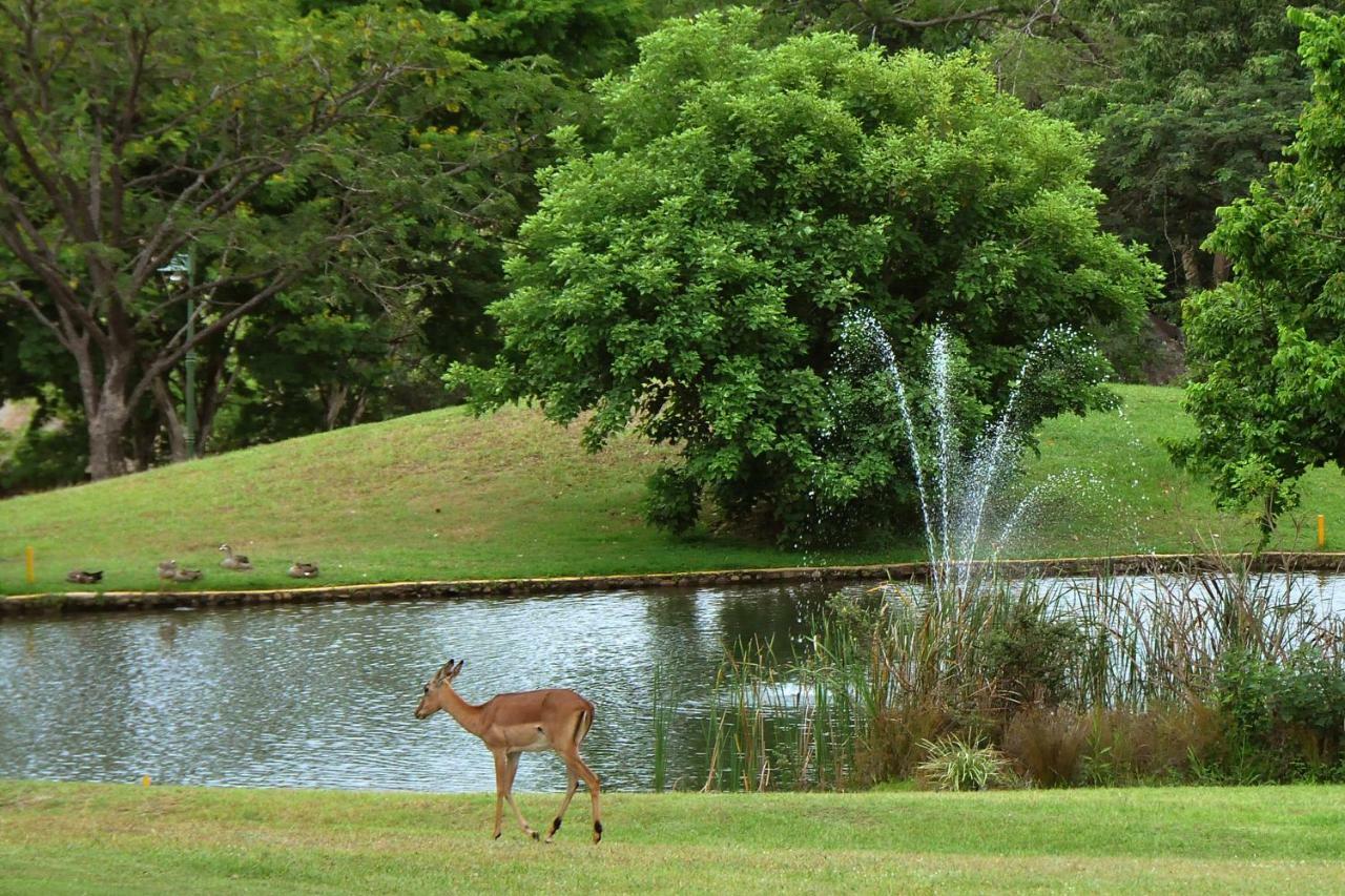 Kruger Park Lodge Unit No. 543 헤이지뷰 외부 사진